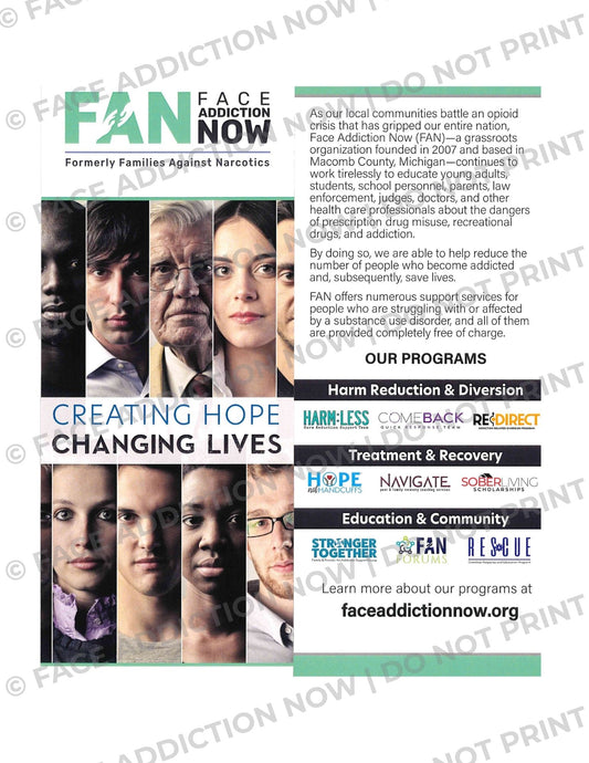 Face Addiction Now Overview Rack Card